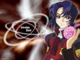 Gundam Seed 17