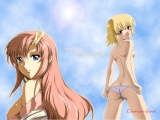 Gundam Seed 16