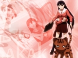 Azumanga 53