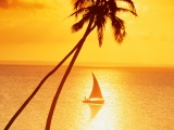 Sunset Sailing in Paradise