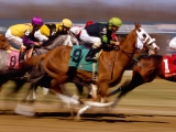 Thoroughbred Horse Racing, Turfway Park, Kentucky