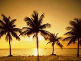 Key Biscayne, Near Miami, Florida