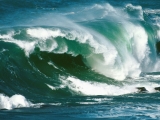 North Island Waves, New Zealand