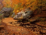 Smith Springs Recreation Area, Shawnee National Forest, Illinois