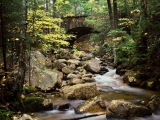 Cobblestone Bridge, Mount Desert Island, Maine
