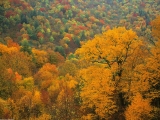 Rolling Fall Landscape, Appalachian Mountains, North Carolina