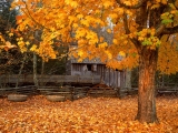 John Cable Mill, Cades Cove, Great Smoky Mountains National Park, Tennessee