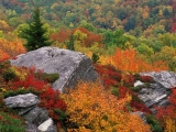 Rocky Outcropping in Autumn,  Blue Ridge Parkway, North Carolina
