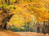 Rural Roadway, Bass Lake, North Carolina
