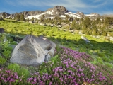 Carson Pass, Sierra Nevada Mountains, California
