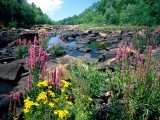 Wisconsin River, Ice Age National Scientific Reserve, Wisconsin