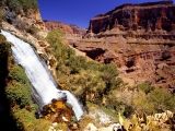 Thunder River, Grand Canyon National Park, Arizona