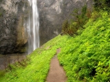 Comet Falls, Mount Rainier National Park, Washington