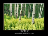 Relax