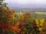 Fall Spectacular, Smoky Mountains National Park, Tennessee