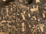 Newspaper Rock, Utah