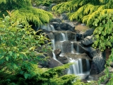 Vancouver, British Columbia