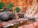 Hidden Oasis, El Cajon Canyon, Baja, Mexico