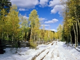 Utah in Early Winter