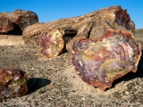 Petrified Forest National Park, Arizona