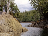 River Channel, Temperate Rain Forest, Southern Canada