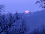 Full Moon Setting, Percy Warner State Park, Tennessee