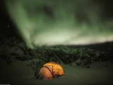 An Emerald Evening, Denali National Park, Alaska