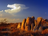 Distant Thunder, Mojave Desert, California