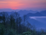 Moment of Sunrise, Joyce Kilmer Memorial Forest, North Carolina