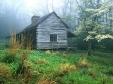 Peaceful Morning, Noah _Bud_ Ogles Place, Smoky Mtns., Tennessee