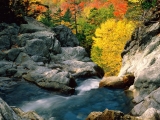 Glen Ellis Falls, White Mountain National Forest, New Hampshire