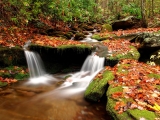 Wesser Creek in Autumn, Nantahala National Forest, North Carolina