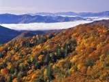 Thomas Divide and River of Fog, Great Smoky Mountains National Park, North Carolina