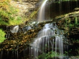 Cathedral Falls, West Virginia