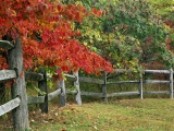 Autumn Fence,  Brown County State Park, Indiana