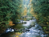 North Fork of the Smith River, Siuslaw National Forest, Oregon