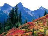 Fall Spectrum in the Tatoosh Range, Mount Rainier National Park, Washington