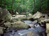 Cedar Creek, Petit Jean State Park, Arkansas