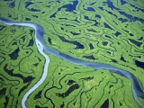 Aerial of the Copper River Delta, Alaska