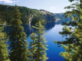 Crater Lake National Park, Cleetwood Cove Trail, Oregon