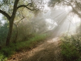 Douglas Family Preserve, Santa Barbara, California