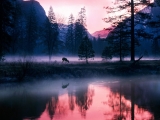 Mystical Waters, Yosemite National Park, California