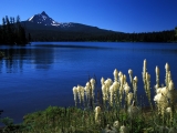 Mount Washington from Big Lake, Oregon