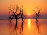 Salton Sea State Recreation Area, California