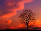 Crimson Twilight, Kentucky