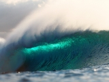 Ocean Spray, Hawaii