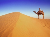 Sweltering Heat, Rajasthan, India