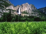 Yosemite Falls, California