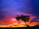 Sunrise, Palmdale, California