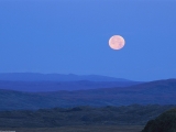 Full Moon Above the Rolling Tundra, Alaska